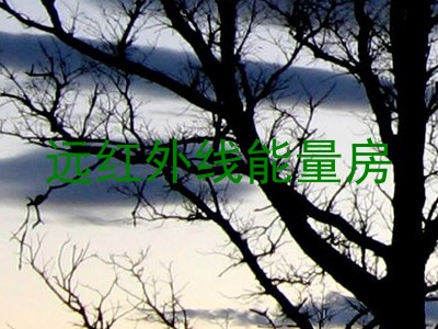 远红外线能量房