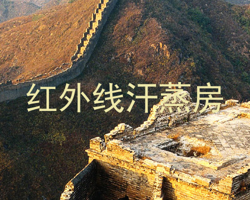 红外线汗蒸房