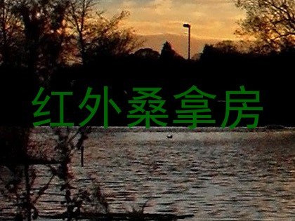 红外桑拿房