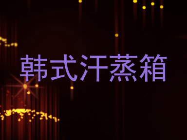 韩式汗蒸箱