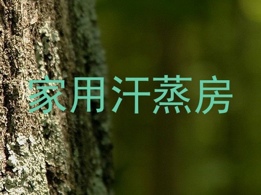 家用汗蒸房