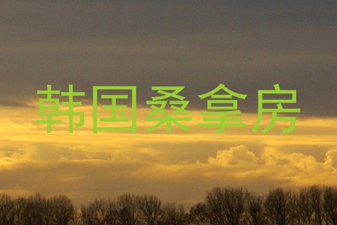 韩国桑拿房