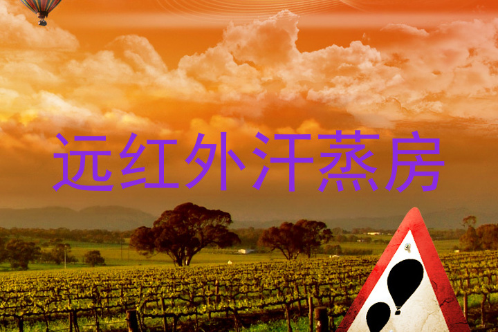 远红外汗蒸房