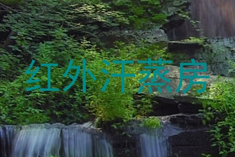 红外汗蒸房