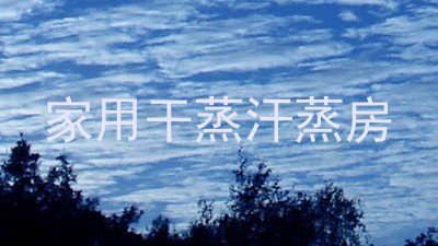 家用干蒸汗蒸房