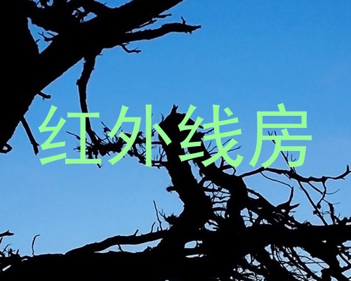 红外线房