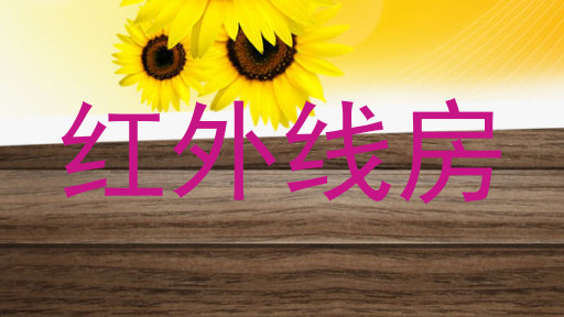 红外线房