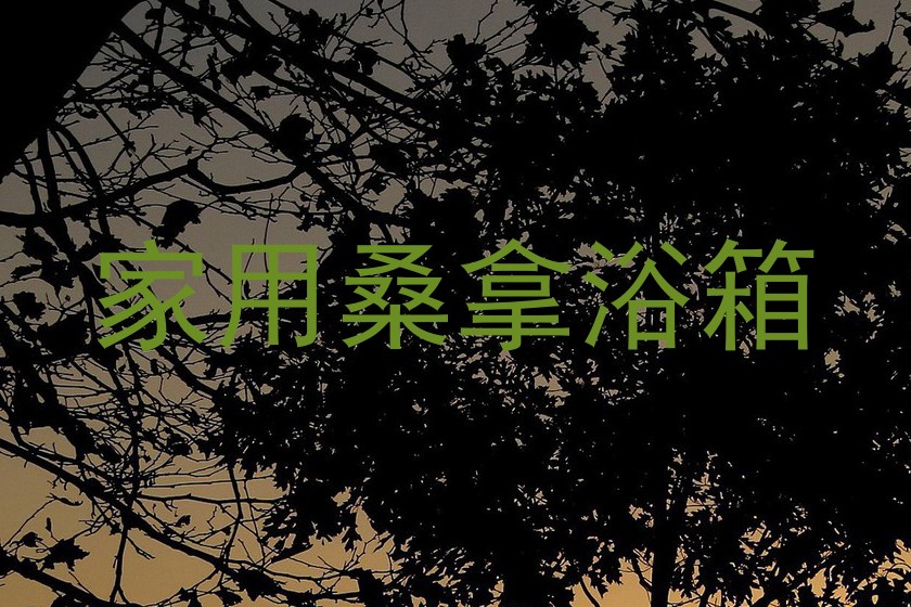 家用桑拿浴箱