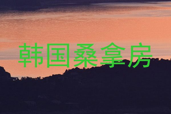 韩国桑拿房