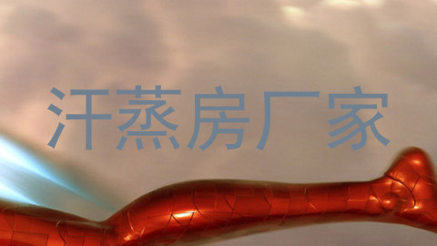 汗蒸房厂家