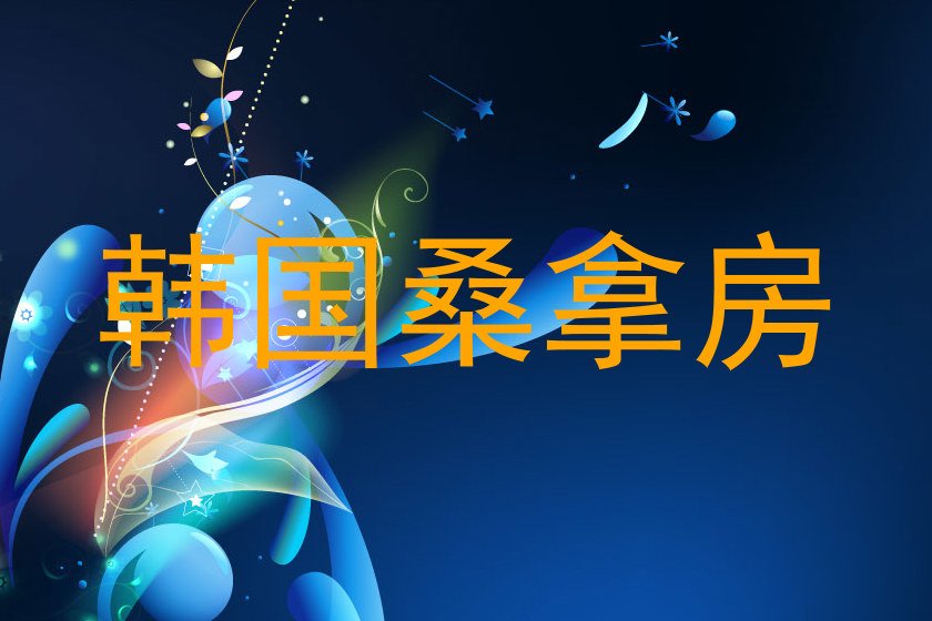 韩国桑拿房