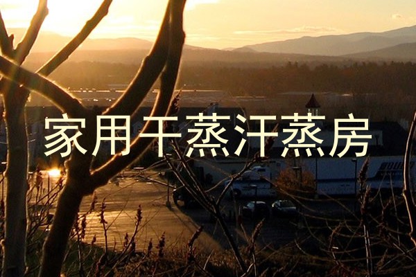 家用干蒸汗蒸房