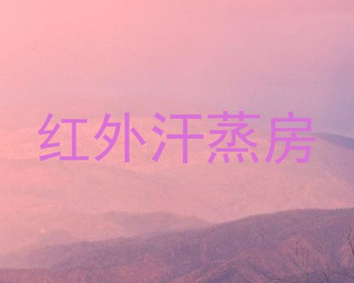 红外汗蒸房