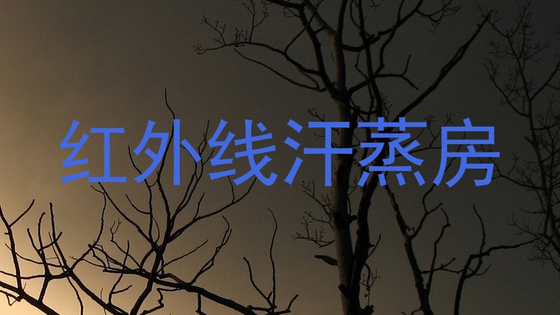 红外线汗蒸房