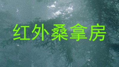 红外桑拿房