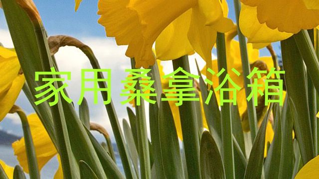 家用桑拿浴箱