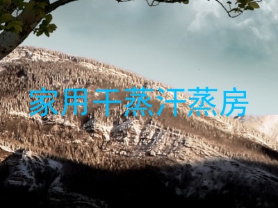 家用干蒸汗蒸房