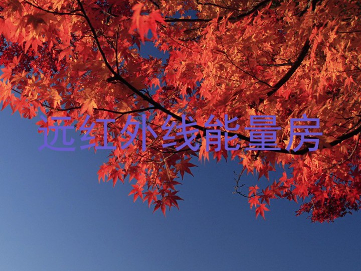 远红外线能量房