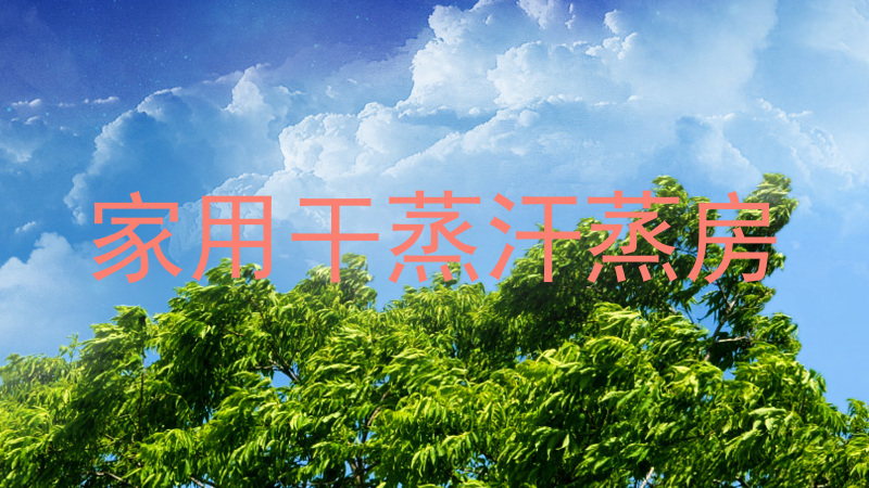 家用干蒸汗蒸房