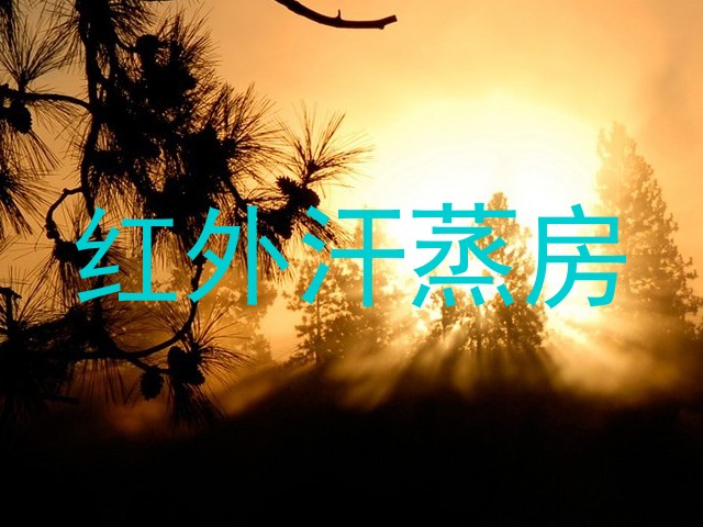红外汗蒸房