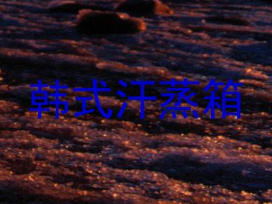 韩式汗蒸箱