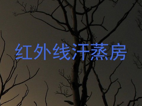 红外线汗蒸房