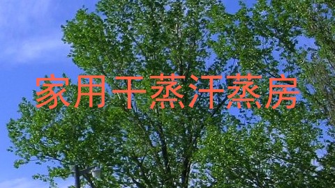 家用干蒸汗蒸房