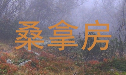 桑拿房