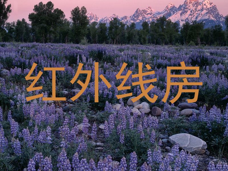 红外线房