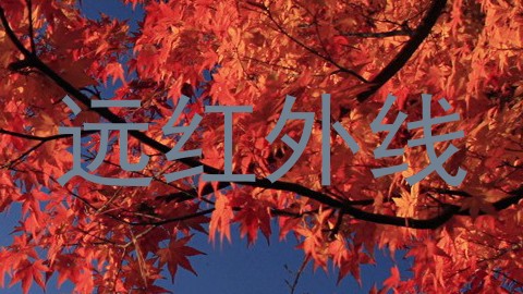 远红外线