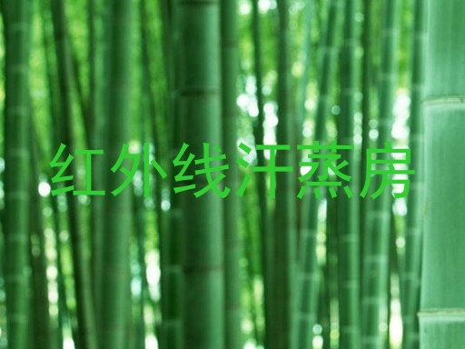 红外线汗蒸房