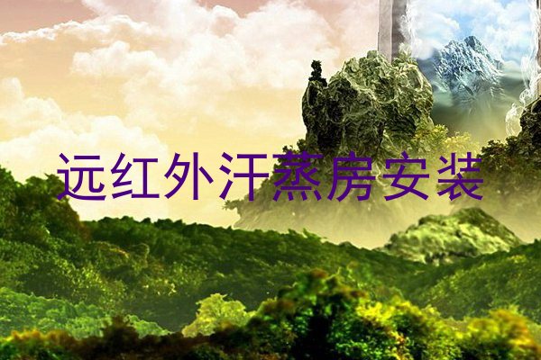 远红外汗蒸房安装