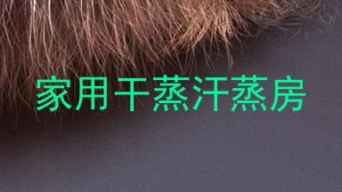 家用干蒸汗蒸房