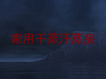 家用干蒸汗蒸房