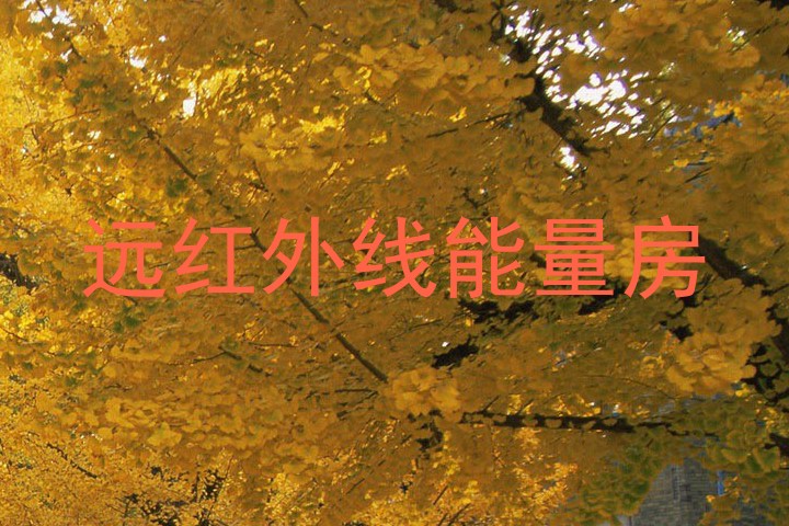 远红外线能量房