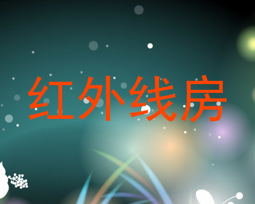 红外线房