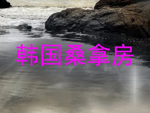 韩国桑拿房