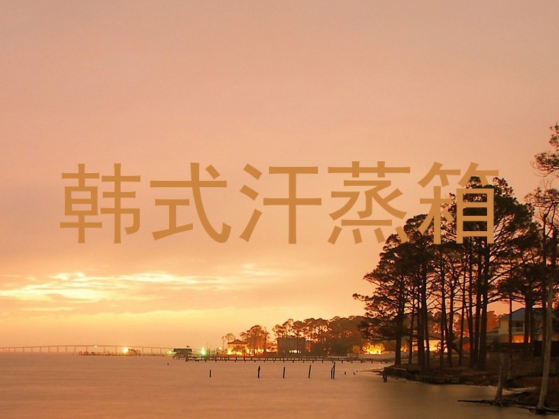 韩式汗蒸箱
