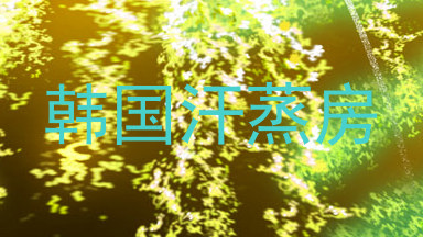 韩国汗蒸房