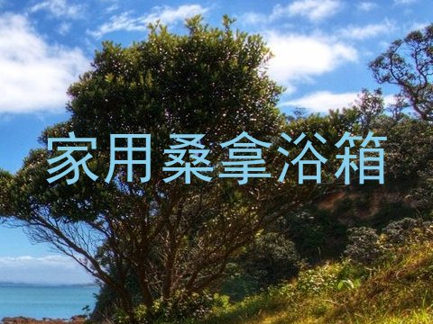 家用桑拿浴箱