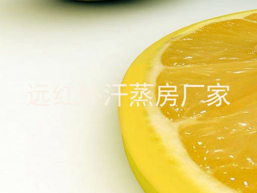 远红外汗蒸房厂家