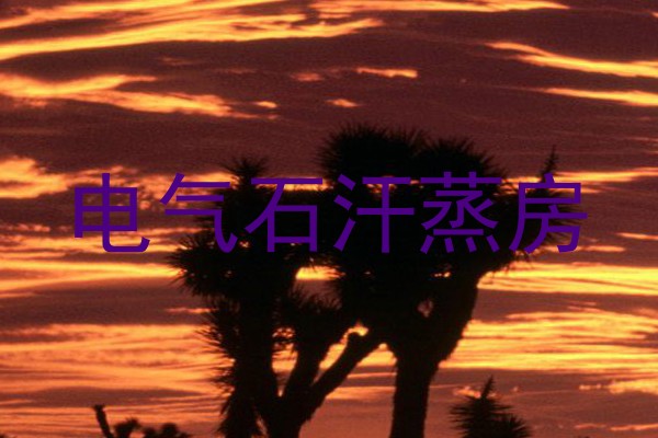 电气石汗蒸房