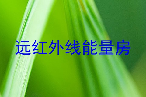 远红外线能量房