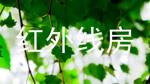 红外线房