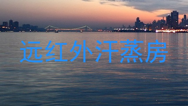 远红外汗蒸房