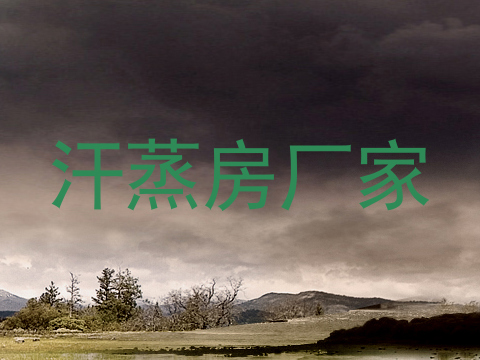 汗蒸房厂家