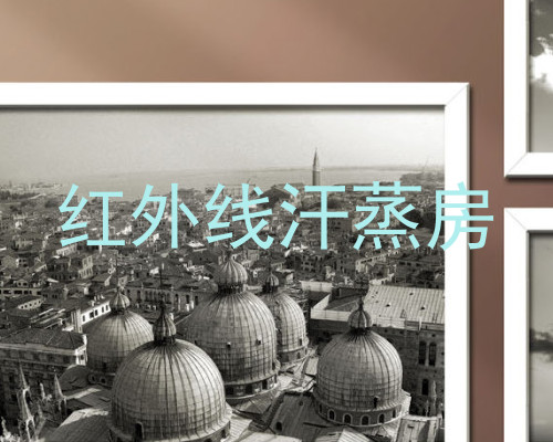 红外线汗蒸房