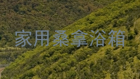 家用桑拿浴箱