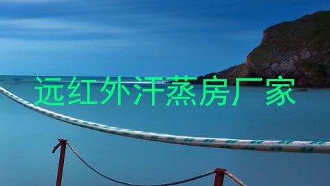远红外汗蒸房厂家