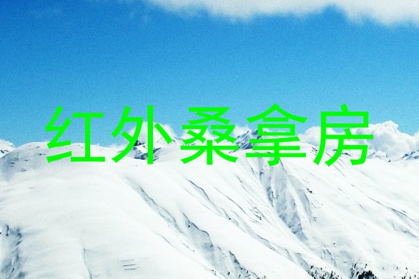 红外桑拿房
